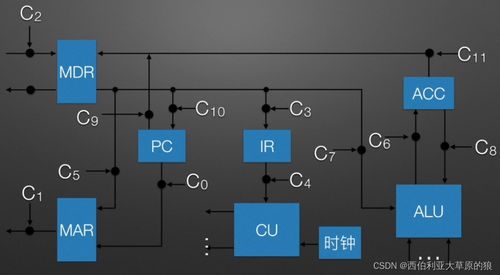 計(jì)算機(jī)組成原理 CPU如何像西伯利亞大草原的狼一樣高效工作